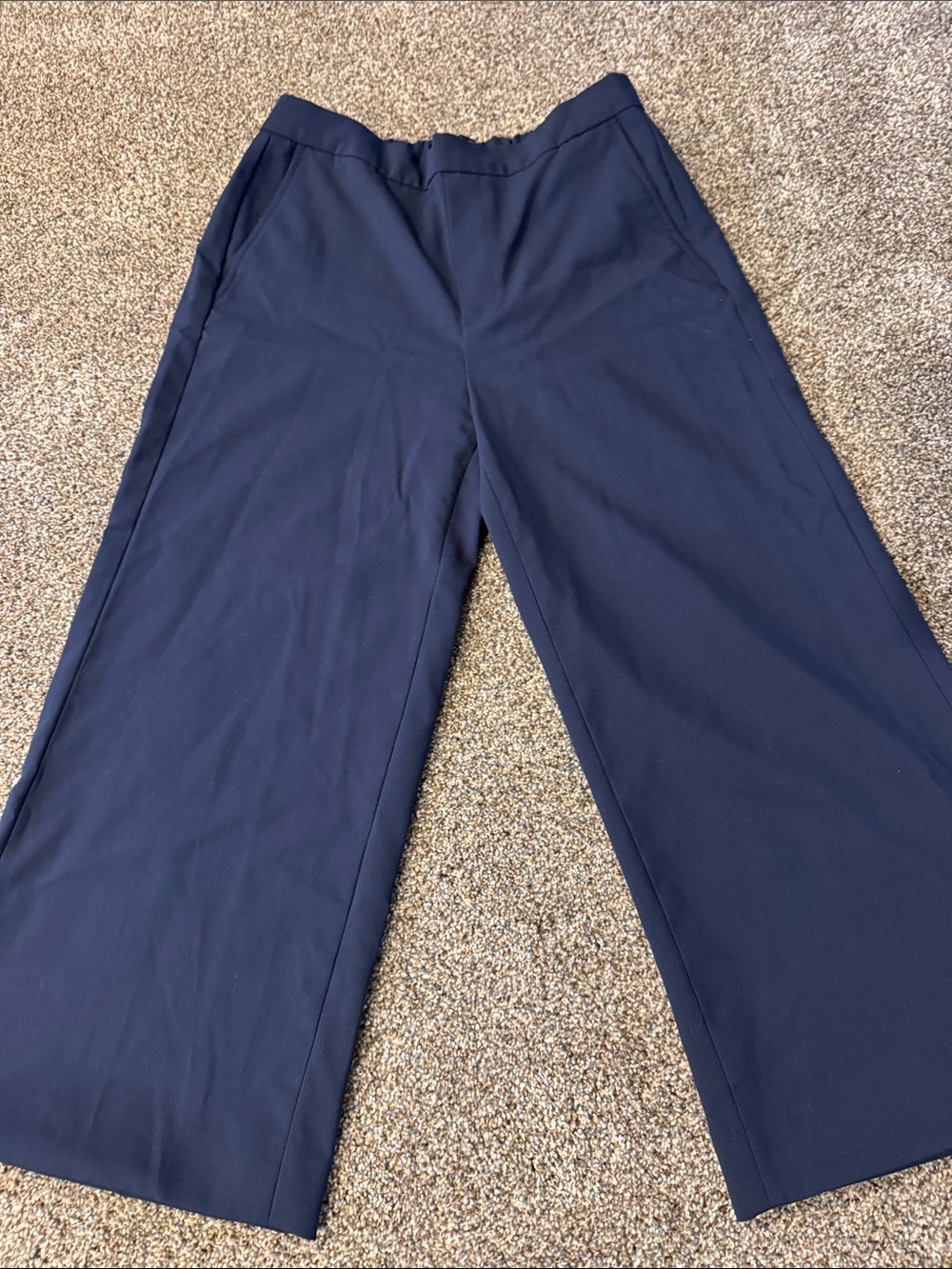 Banana Republic Navy Rowan Wide-Leg Women's Pants size 8 : cropped
